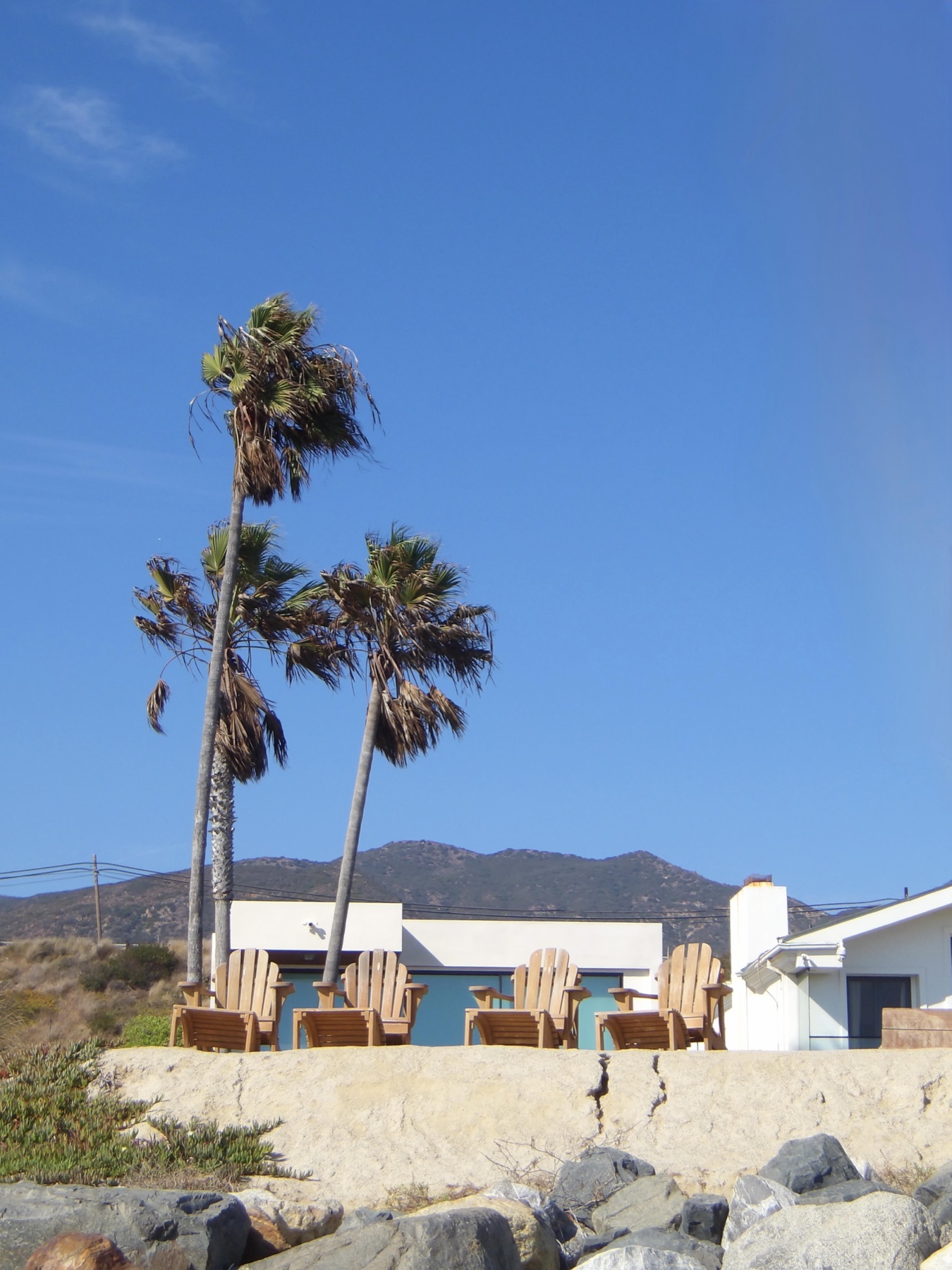 Two palm trees and wooden chairs beneath a blue sky